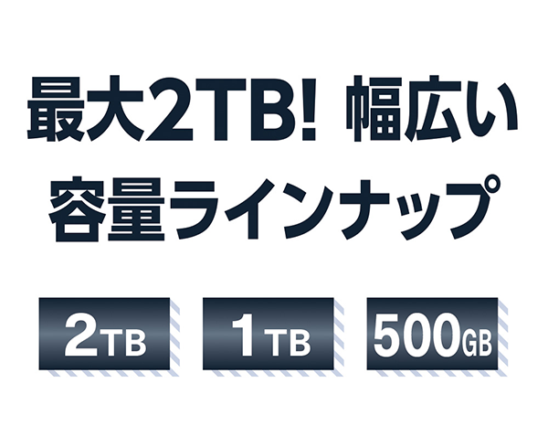 最大2TB！幅広い容量ラインナップ